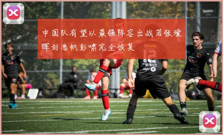 中国队有望以最强阵容出战若张瑷晖刘浩帆彭啸完全恢复