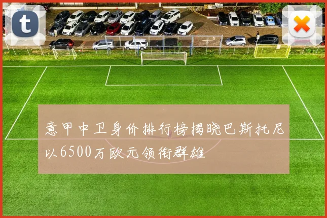 意甲中卫身价排行榜揭晓巴斯托尼以6500万欧元领衔群雄